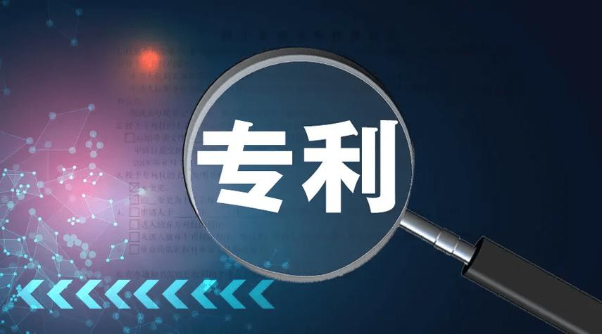 復(fù)審請(qǐng)求審查決定的類型